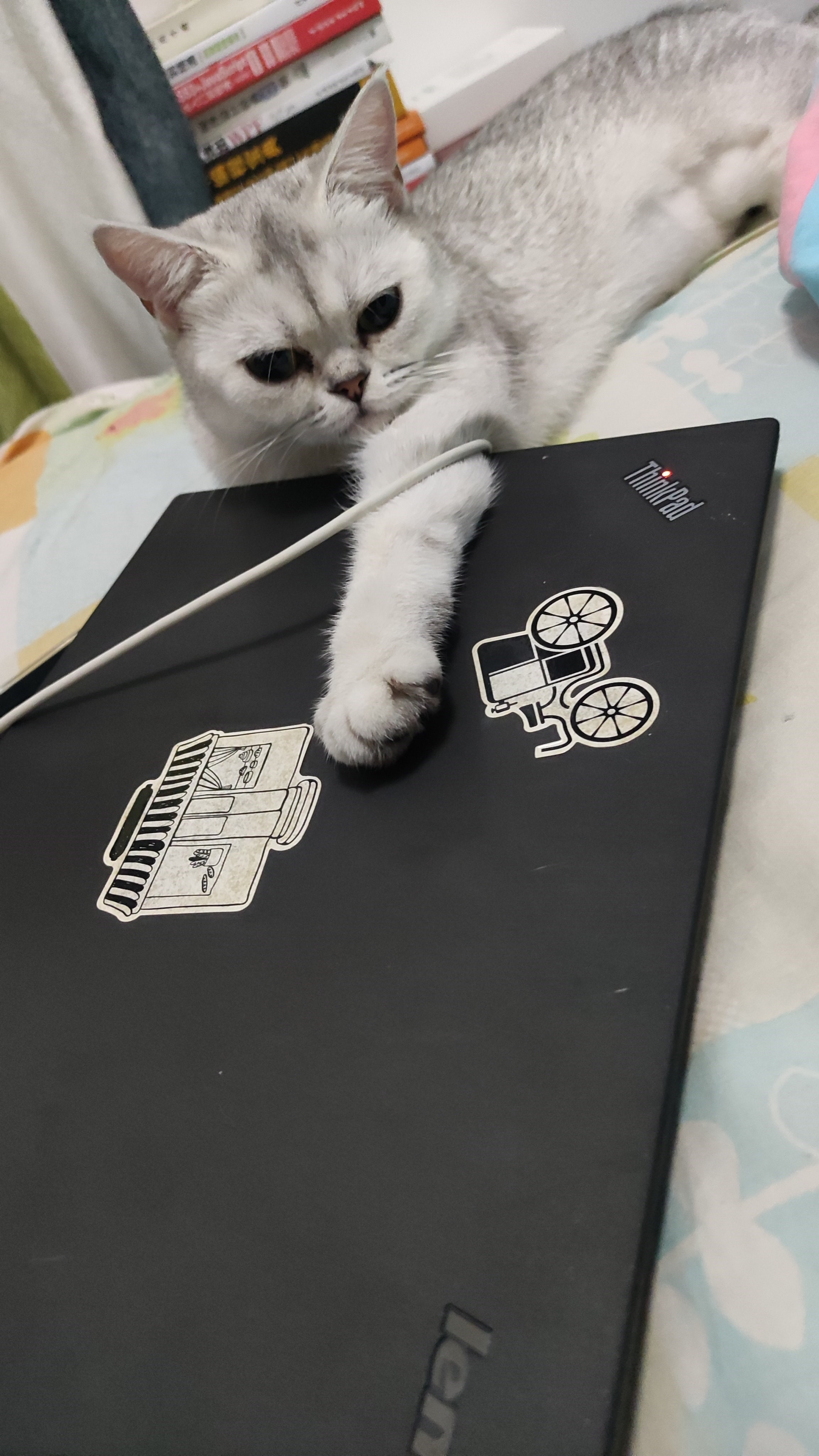 手机电没充上