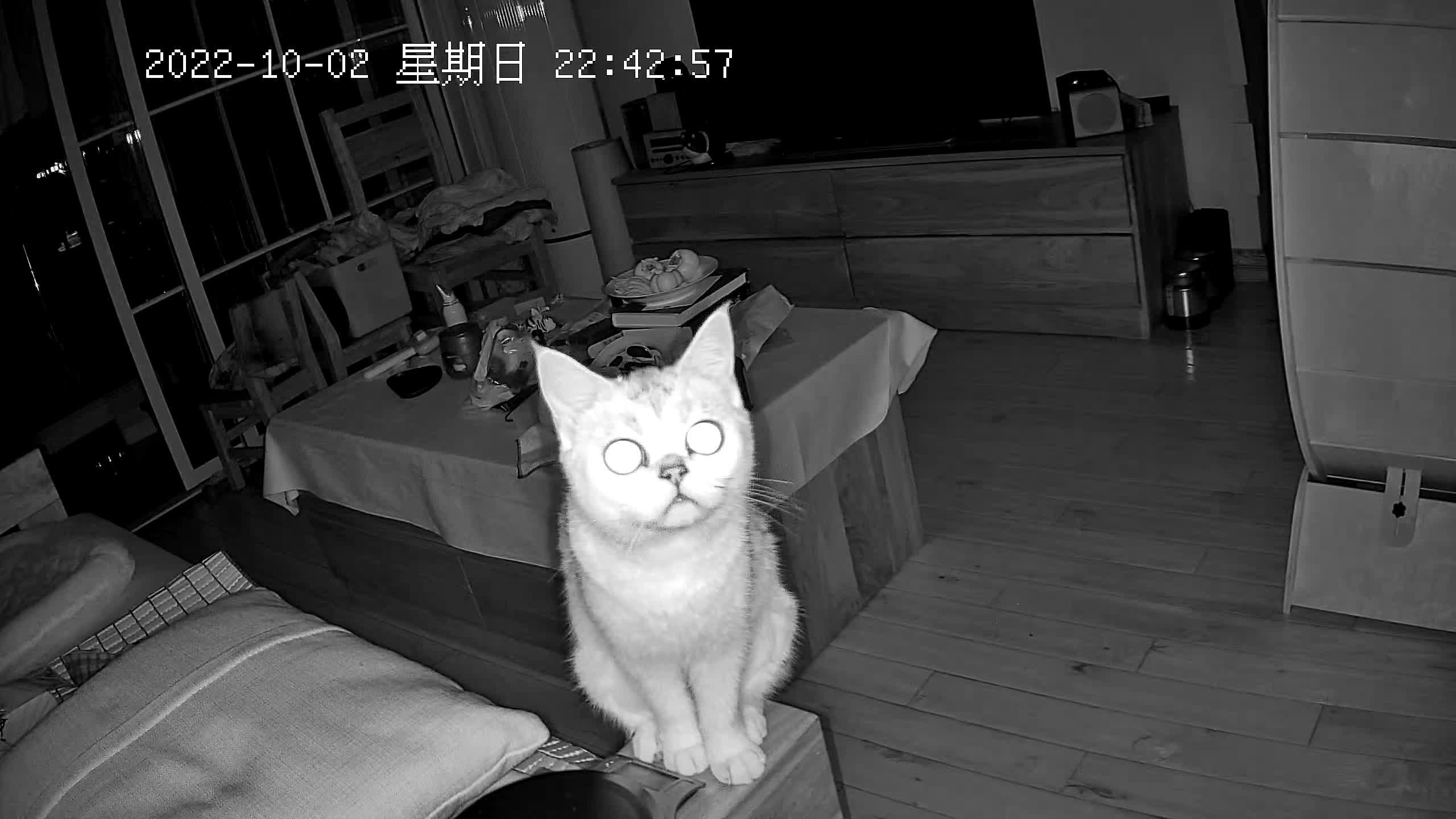 79997a31363248a492476d62ab8fa357.jpg