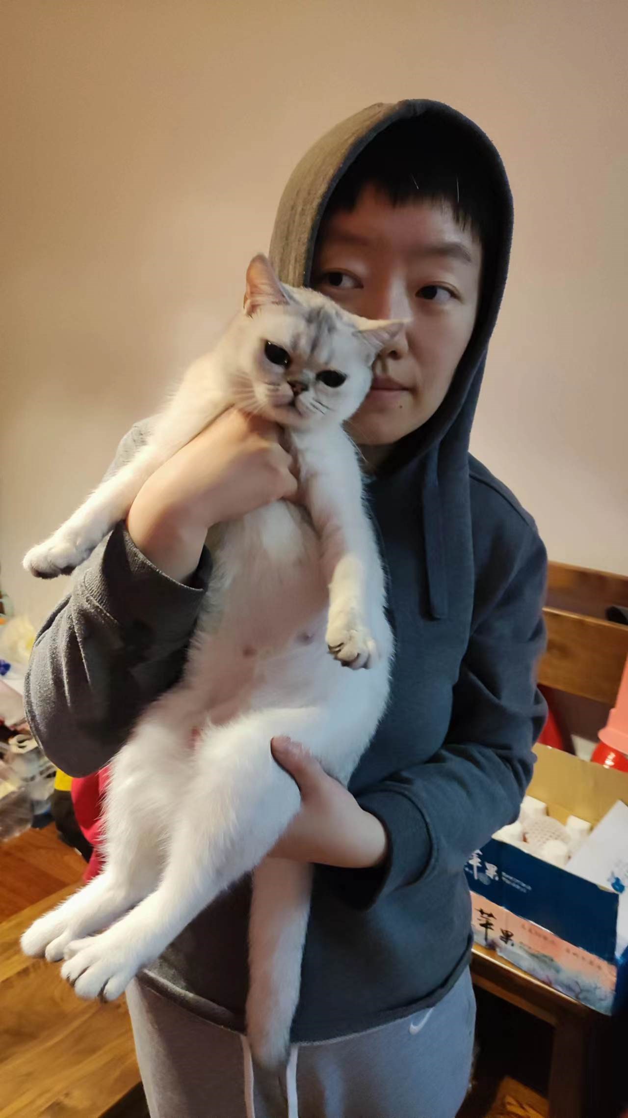 人猫俱好