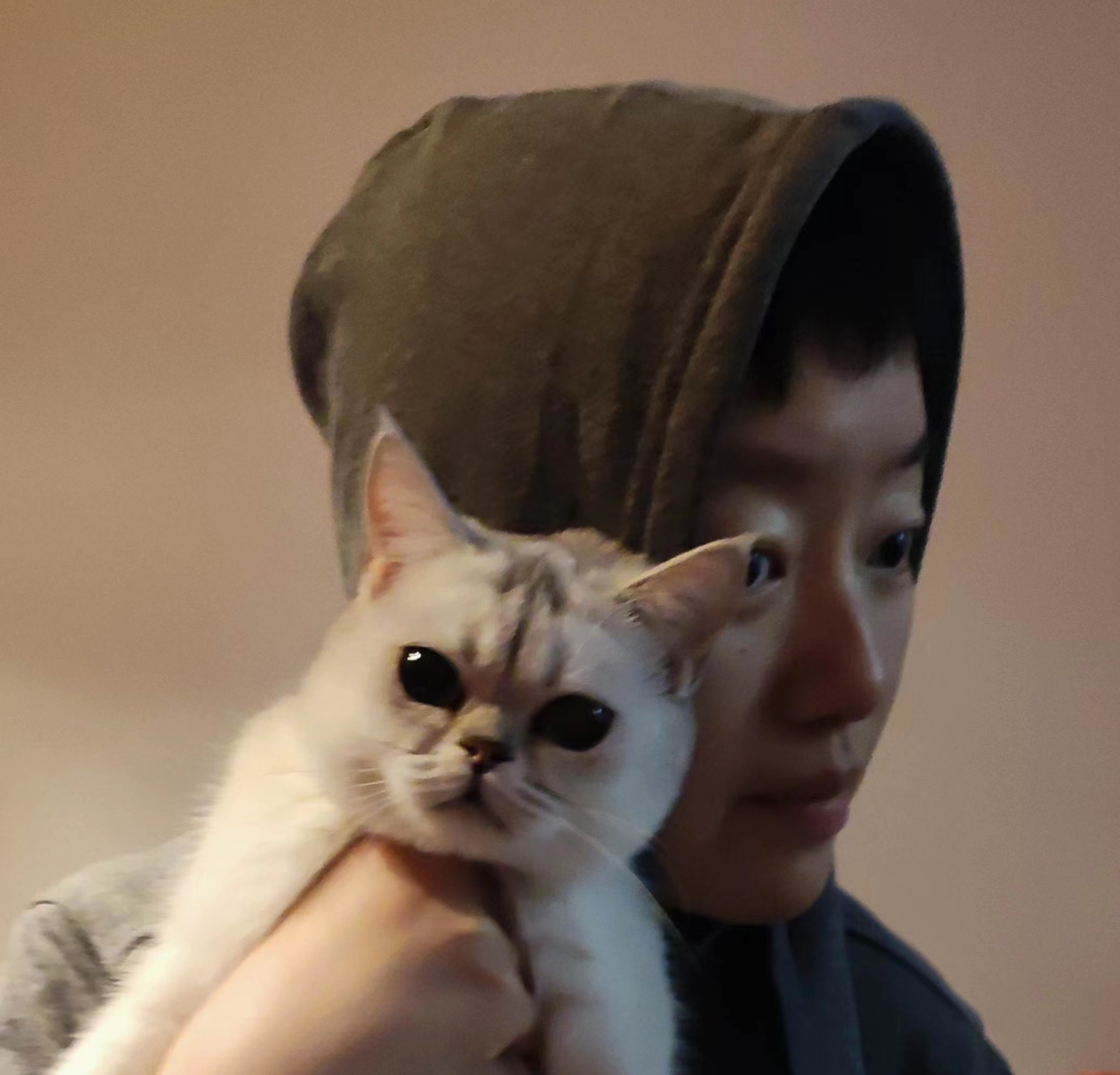 人猫俱好