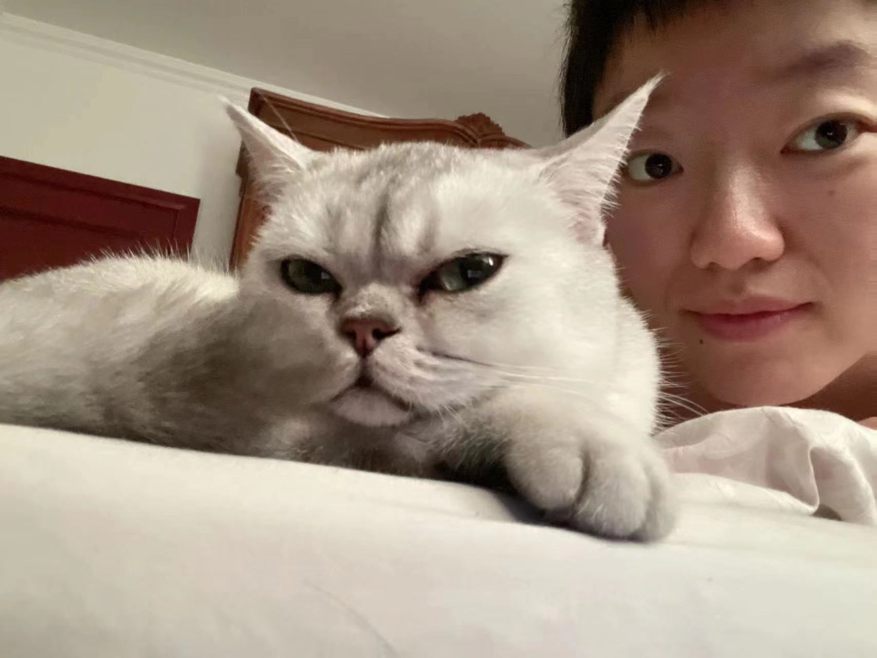 BB猫在11月.1