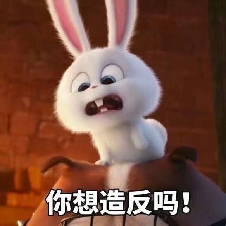 BIBI猫造反