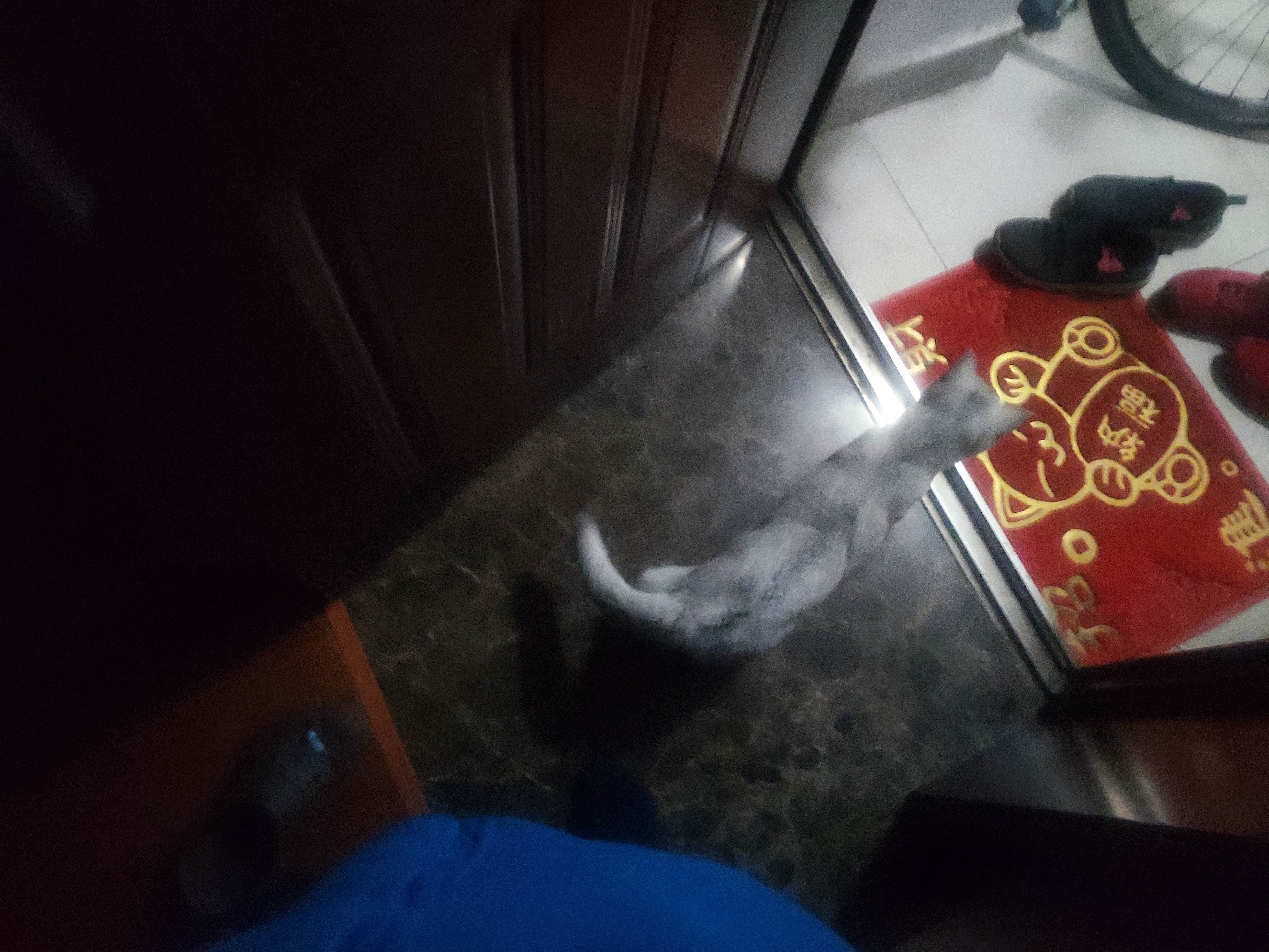840ad1d58031404abd29793e4040ccb0.jpg