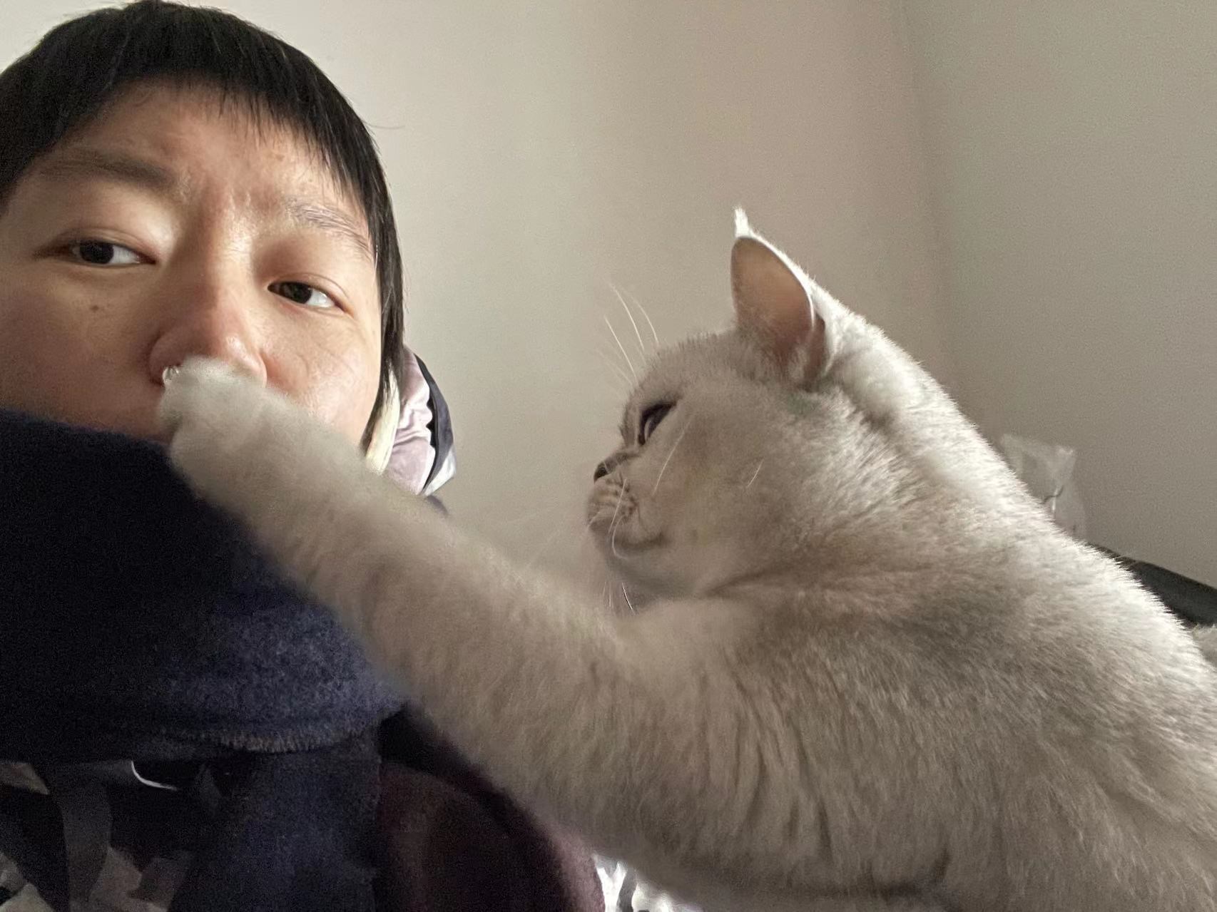 小B在12月3