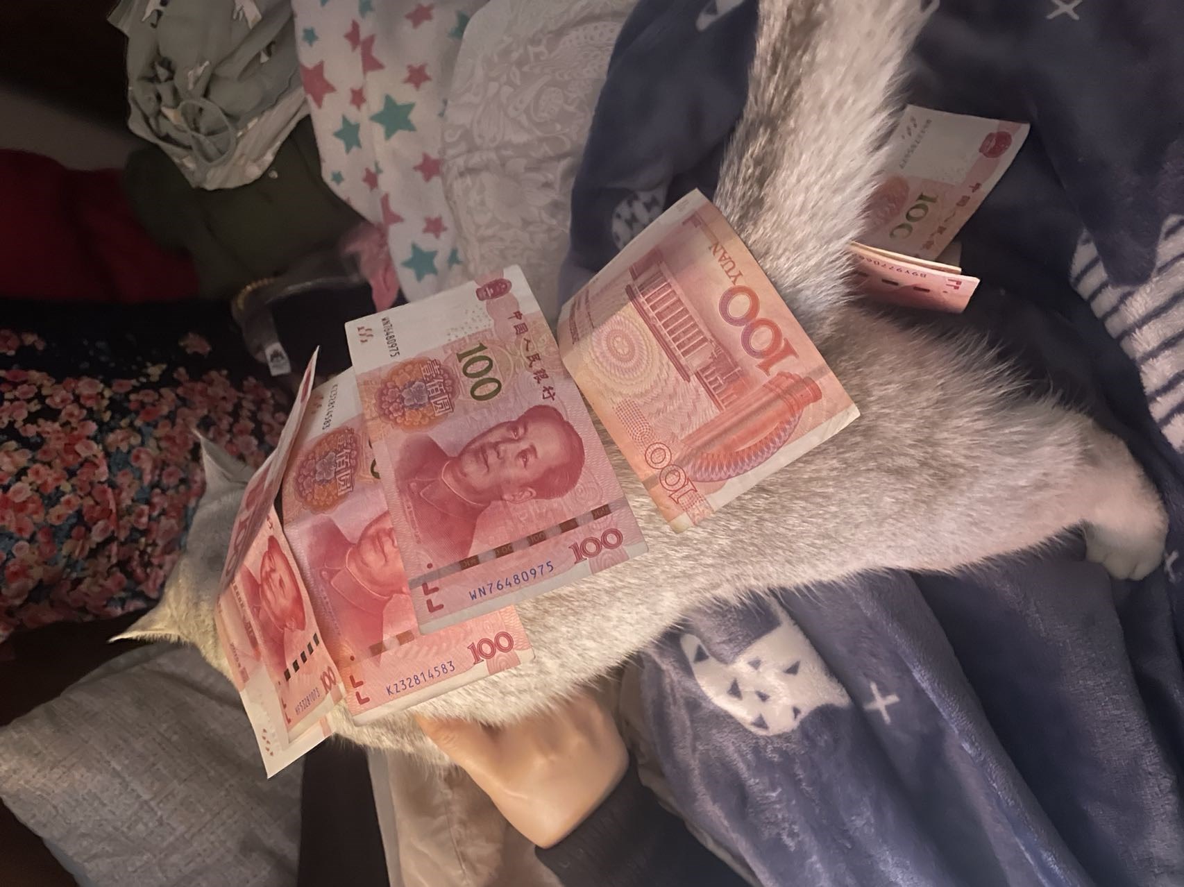朱小V在1月(3)