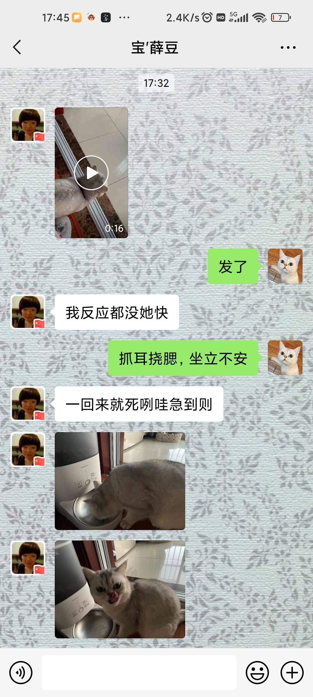 93cef541a4e949a4a2a557e36862667e.jpg