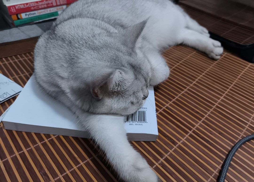 BB猫在9月